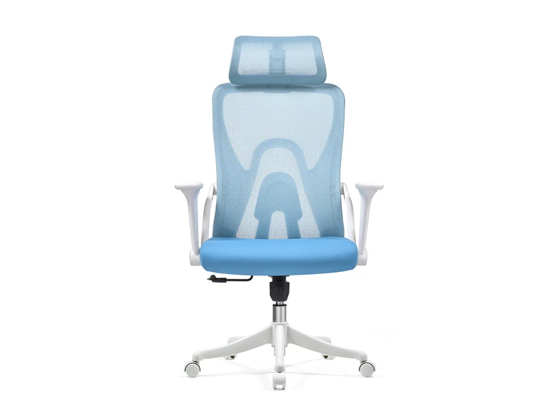 Cadeira de escrit&oacute;rio ergon&ocirc;mica em malha com apoio de cabe&ccedil;a ajust&aacute;vel &ndash; 2428A