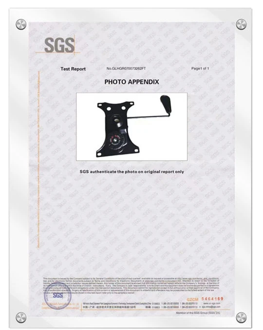 Certificado SGS do mecanismo